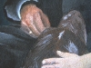 opa-handedetail-um-1978